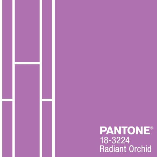 Pantone Color of the Year 2014