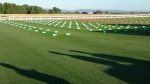 Grass plots